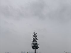 -盘龙城国家考古遗址公园