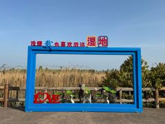 -泗洪洪泽湖湿地景区
