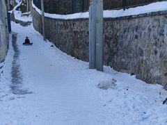 -大觉寺-停车场
