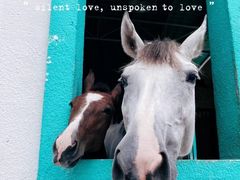 -华海酒店(茂名高铁站店)