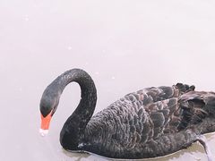 -琅岐红光湖公园