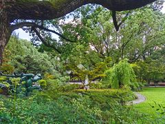 -申粤轩酒楼·三十年粤菜经典(丁香花园店)