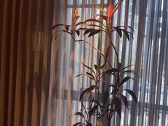 -湘满甲·黄焖甲鱼创始者·湘菜·鲁菜(潘家园店)
