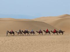 -银肯塔拉沙漠生态旅游景区