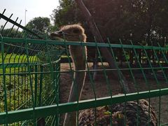 -长白岛森林公园