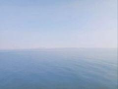 -大湾区中央湿地公园-十九涌
