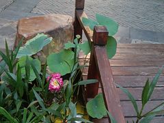 -花锦堂·隐庐