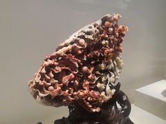 -杭州工艺美术博物馆