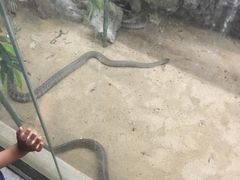 -荔城生鲜盛宴(番禺旗舰店)