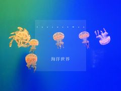 -福州罗源湾海洋世界旅游区