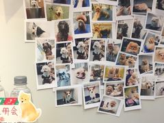 -PETKIT 小佩宠物·低压洗护·美容·寄养(安远店)