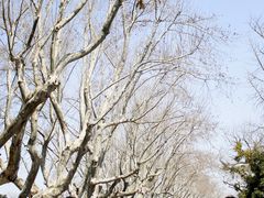 -浙江西湖美术馆