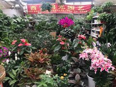 -秦美花卉(天朗·莱茵小城2期店)
