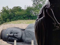 -三水森林公园