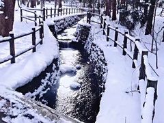-北海道神宫