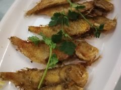 -廣味潮鲜·一品潮滋味(五道口店)