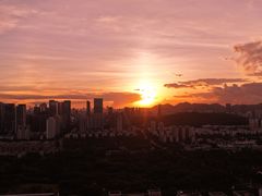 -DJI大疆(深圳华强北曼哈授权体验店)