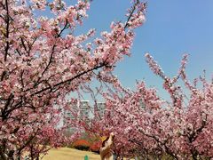 -白塘生态植物园