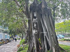 -深圳市当代艺术与城市规划馆