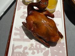 -大鸽饭(体育西路店)