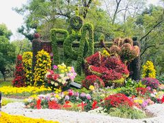 -上海共青森林公园