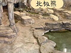-西安曲江海洋极地公园