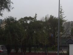 -西宁市人民公园(城西区)