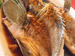 -大树下海鲜饭店