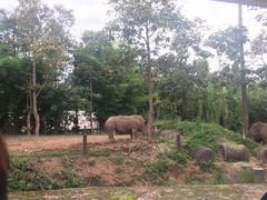 -清迈夜间动物园