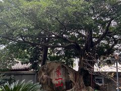-乌山风景区