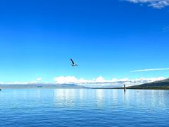 -青海湖国家重点风景名胜区