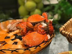 -圣丰索菲特·2 On 988 Café 自助餐厅