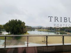 -上海佘山世茂艾美酒店