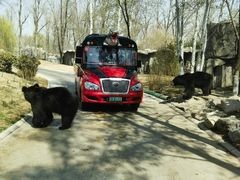 -北京野生动物园