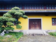 -江心屿景区