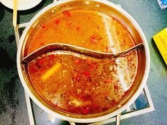 糊辣鱼鸳鸯锅-煳辣鱼(新抚路店)