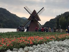 -广州市石门国家森林公园