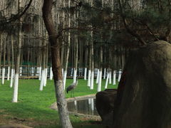 -艾溪湖湿地公园