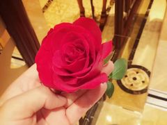 -沈阳皇朝万鑫酒店