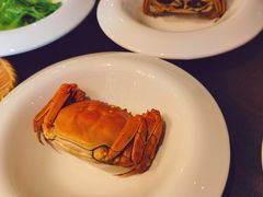 -蟹榭·本帮江浙菜·蟹宴(五角场合生汇商场店)