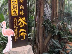 -火烈鸟餐厅