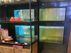 -聚鑫阁江浙菜·非遗传承技艺(青村帝华园店)