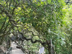 -四会奇石河风景区