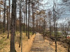 -六鼎山文化旅游区