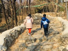 -阳台山自然风景区