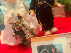 -济州岛泰迪熊博物馆