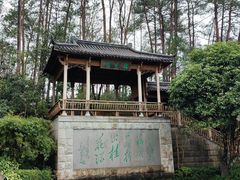 -千岛湖东南湖区