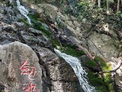 -莫干山风景区