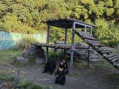 -宁波野生动物园