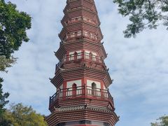 -中山公园(石岐街道)